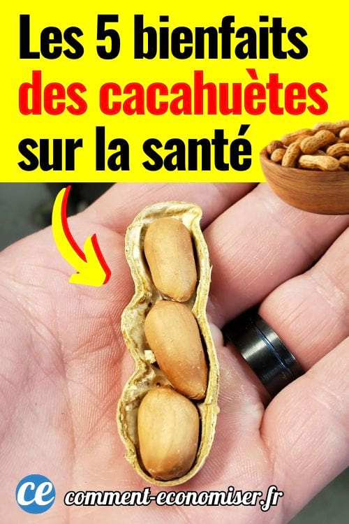 Main tenant une cacahu&egrave;te ouverte montrant trois graines &agrave; l'int&eacute;rieur.