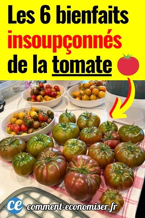 Tomates anciennes vertes et rouges et tomates cerises color&eacute;es dispos&eacute;es sur un plan de cuisine.