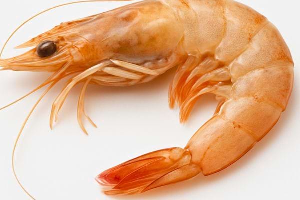 crevette entiere crue de couleur ros&eacute;e avec tete antennes et pattes visibles