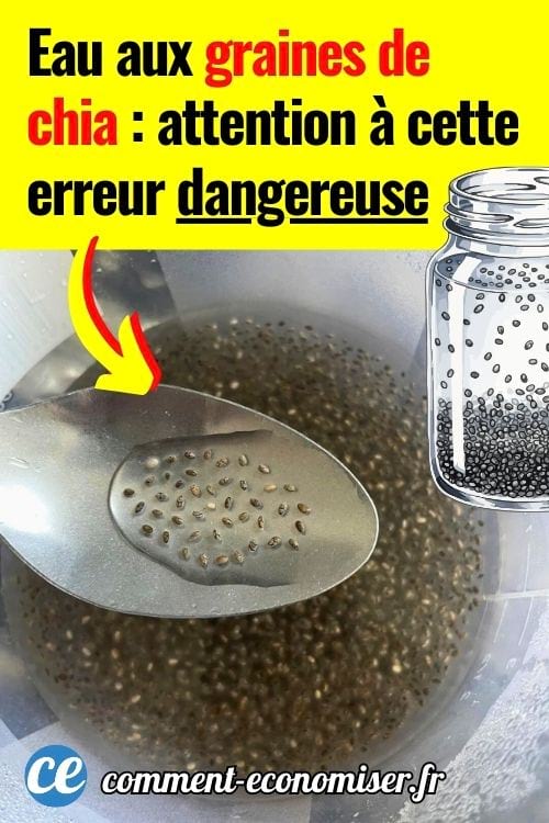 Cuill&egrave;re de graines de chia tremp&eacute;es dans l&rsquo;eau 