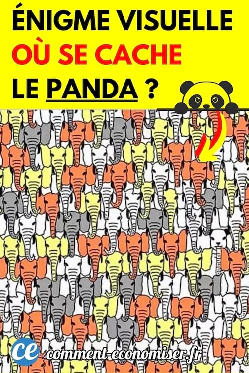 une image où se trouvent de nombreux éléphants et un panda caché
