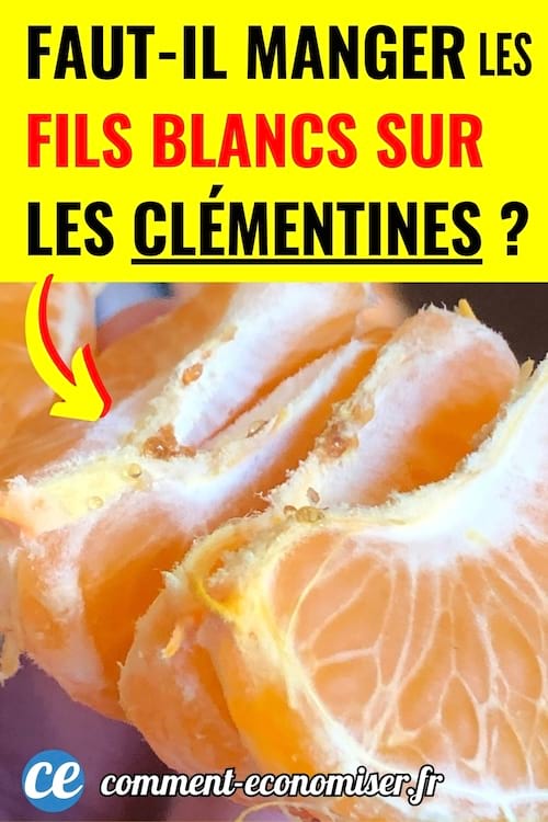 Des fils blancs sur des clémentines qu'il ne faut pas enlever