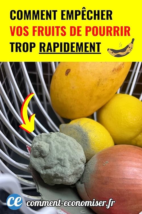 corbeille de fruits avec citron et oignon recouverts de moisissure verte