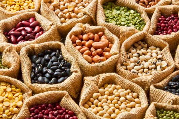 sacs en toile remplis de differentes legumineuses comme lentilles pois haricots et feves