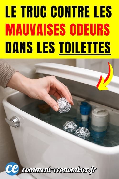 une personne d&eacute;pose des boules de papier alu dans la cuvette de ses toilettes pour lutter contre les mauvaises odeurs et les d&eacute;p&ocirc;ts de calcaire