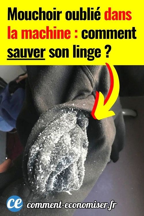 Manche de sweat noir couverte de peluches et de résidus blancs, tissu visiblement abîmé et encrassé.
