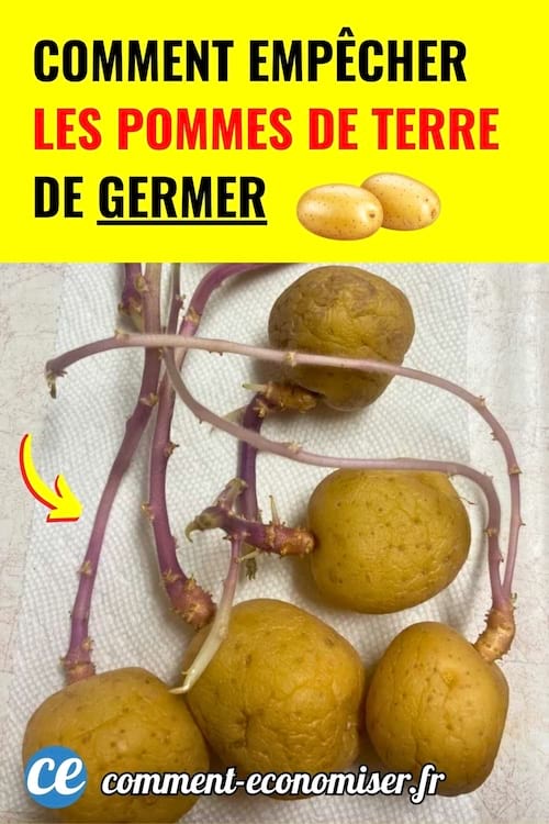 Astuces simples pour conserver vos pommes de terre plus longtemps et eviter les germes.