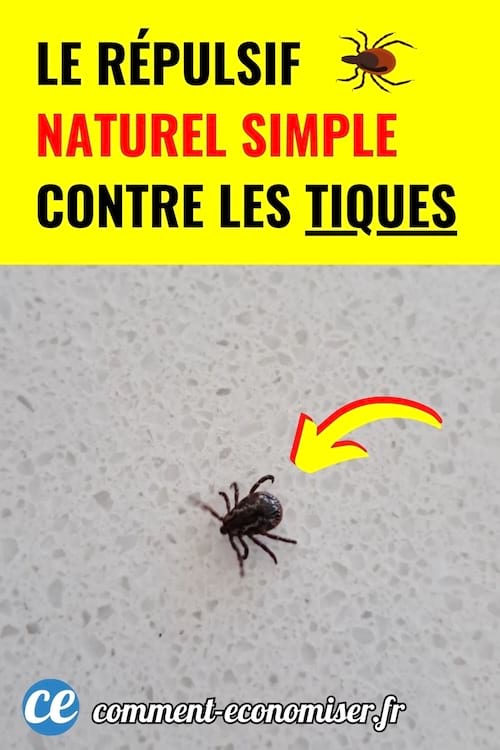 Repulsif naturel contre les tiques efficace et facile a faire. Protegez votre famille avec une solution simple et naturelle.