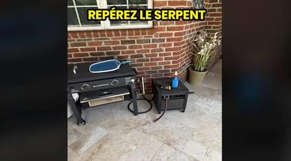 une terrasse avec un barbecue et un serpent cach&eacute;