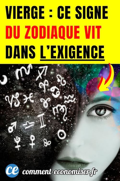 illustration montrant les signes du zodiaque et le visage d'une femme