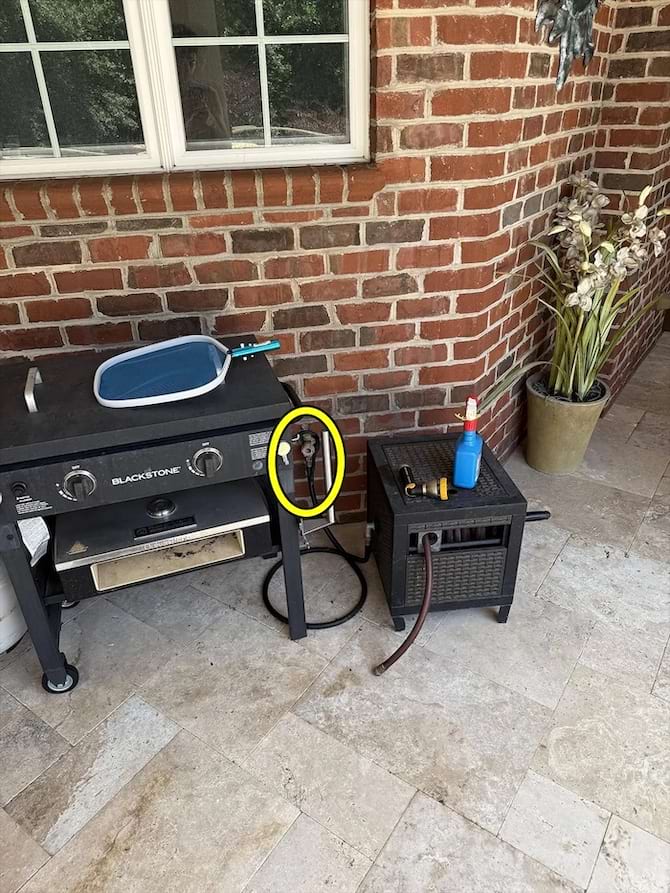 La solution &agrave; l'&eacute;nigme visuelle avec la cachette du serpent entour&eacute;e d'un trait jaune