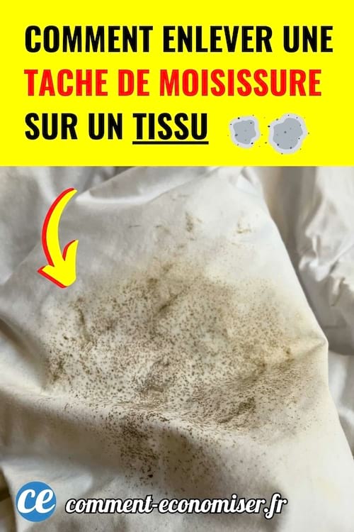 tissu blanc couvert de nombreuses taches noires de moisissure