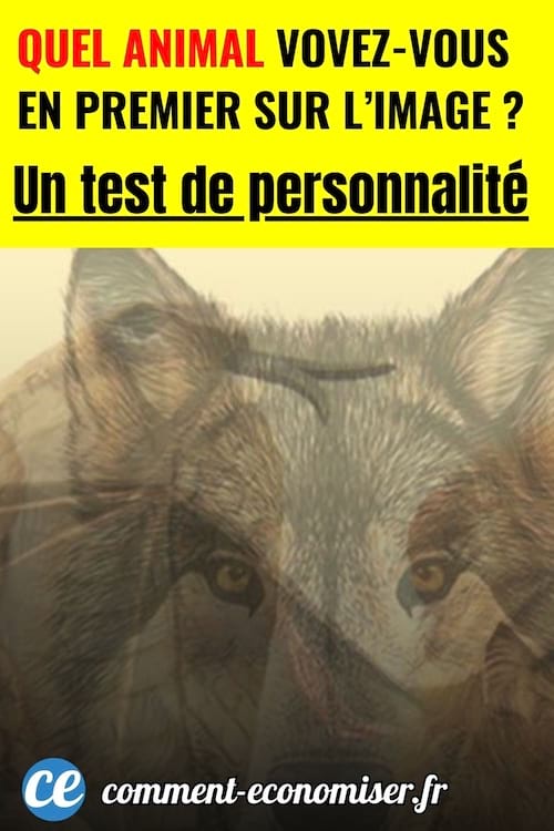 un test de personnalit&eacute; bas&eacute; sur une image o&ugrave; on voit plusieurs animaux superpos&eacute;s