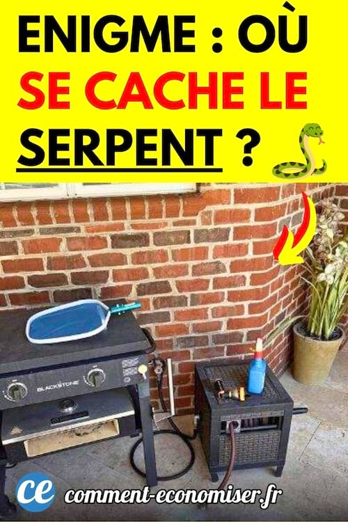 une terrasse avec un. barbecue et un serpent cach&eacute;