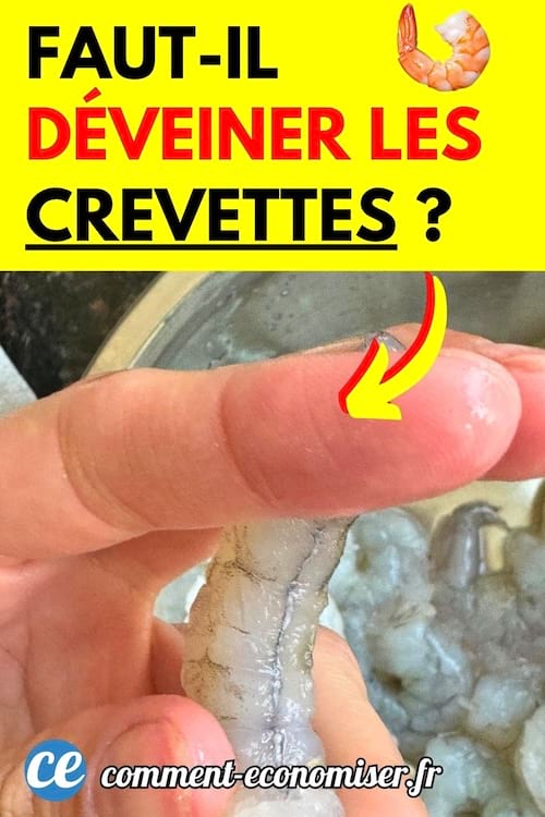 une personne tient crevette crue d&eacute;cortiqu&eacute;e avec un vaisseau noir au-dessus d'un bol de crevettes