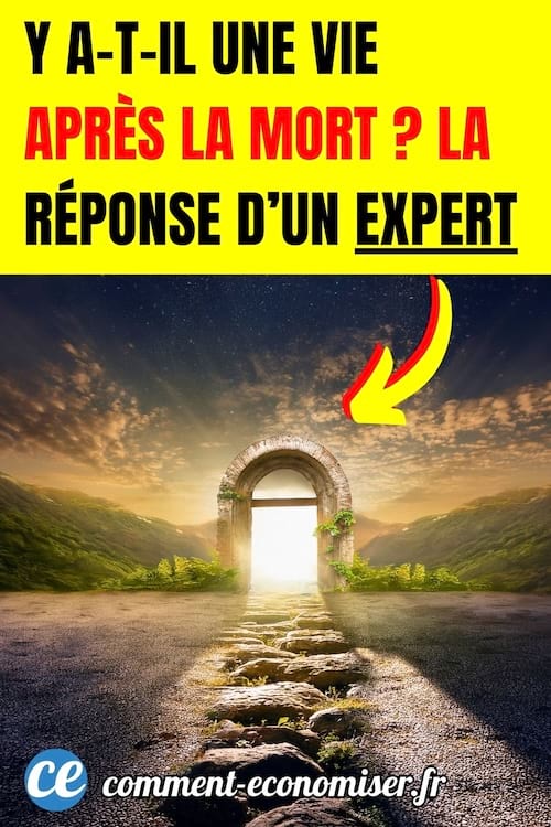 un paysage naturel verdoyant au coucher de soleil avec une porte en pierre qui s'ouvre sur une llumi&egrave;re