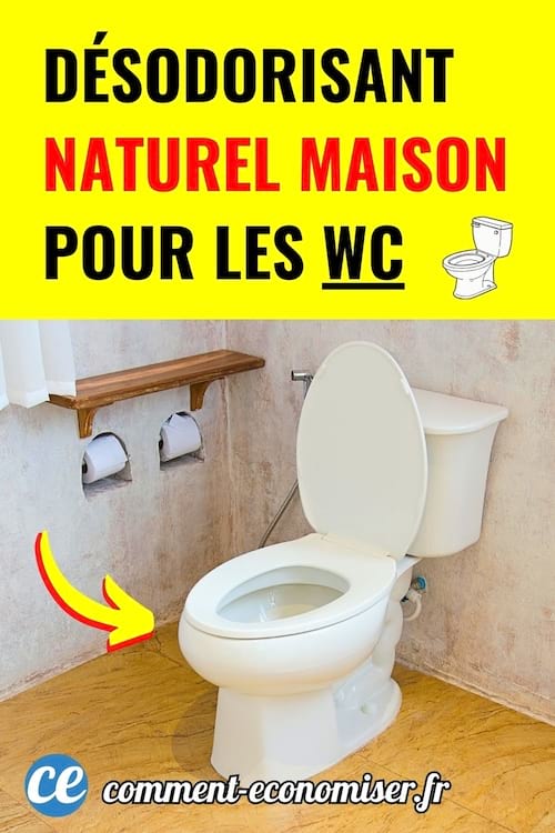 toilettes blanches ouvertes dans petite salle de bain avec etagere murale