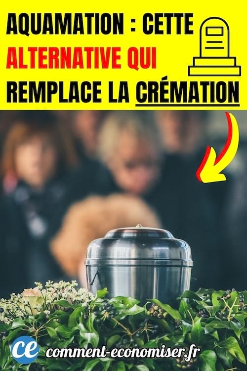 une urne fun&eacute;raire sur un parterre de fleurs