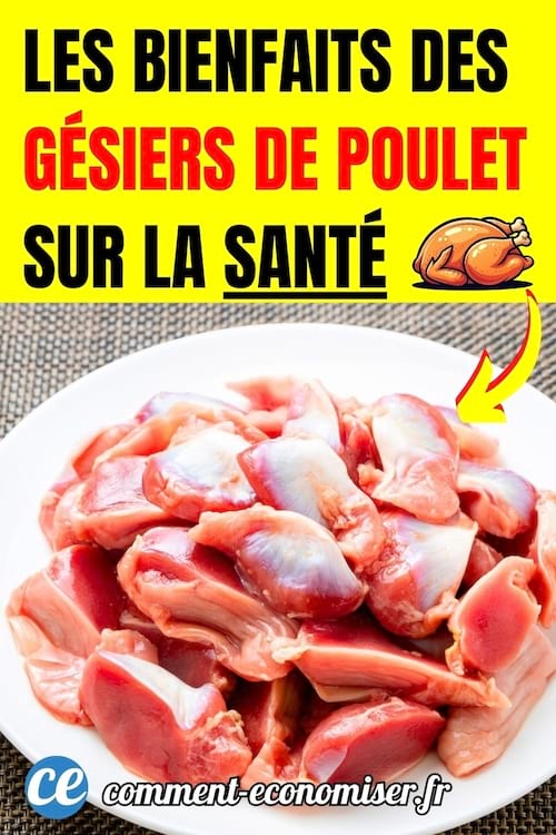 une assiette de g&eacute;siers de poulet crus