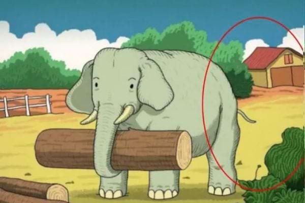 la solution du d&eacute;fi visuel de la t&ecirc;te de cheval cach&eacute;e dans un dessin