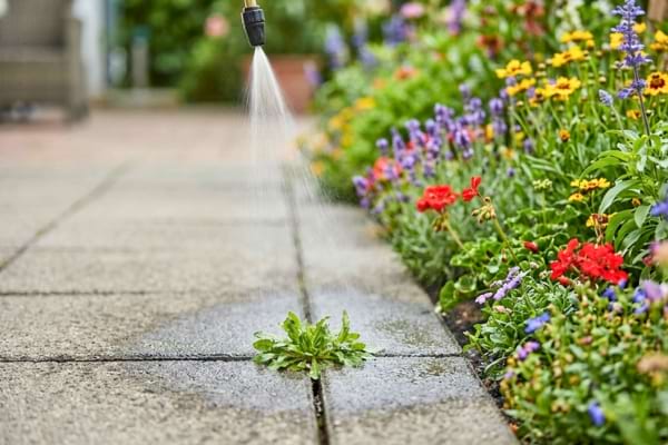 Un jet d'eau tr&egrave;s fin et pr&eacute;cis vaporis&eacute; sur une petite mauvaise herbe isol&eacute;e