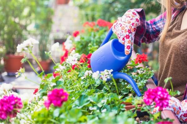 femme qui arrose ses plantes