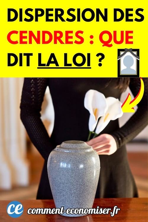 une urne fun&eacute;raire grise pos&eacute;e sur une table avec une femme habill&eacute;e en noir portant une fleur blanche en second plan