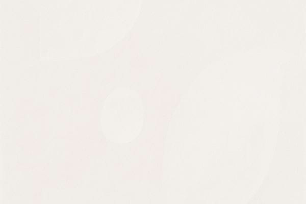 une poign&eacute;e de clous de girofle pos&eacute;e dans une casserole