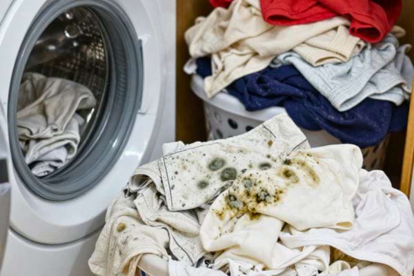 linge sale avec taches de moisissure pres dune machine a laver