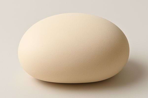 un grain de riz pose seul sur un fond clair