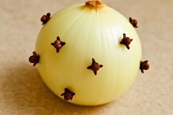 un oignon blanc avec des clous de girofle plantes sur toute sa surface