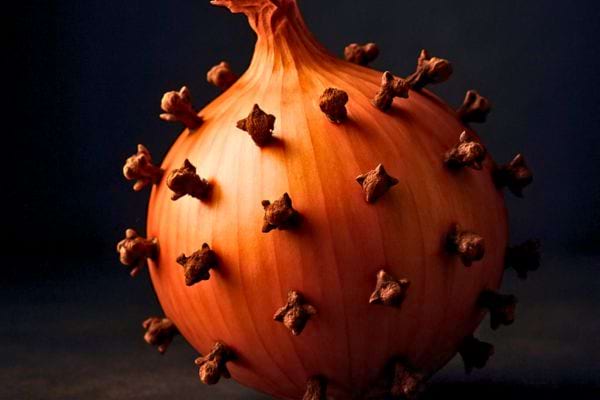 un oignon pique de clous de girofle photographie sur un fond sombre