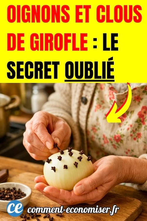 une personne plante des clous de girofle dans un oignon
