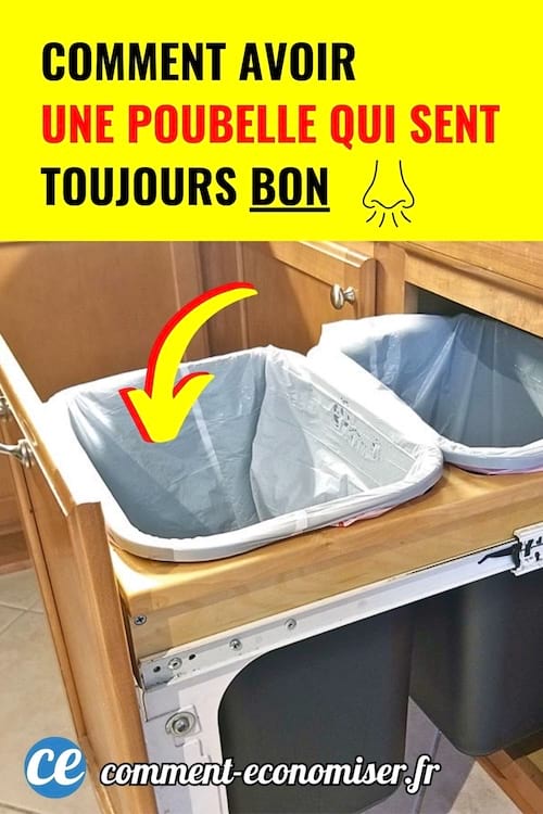 Poubelles de cuisine dans un meuble ouvert pour illustrer une astuce pour eviter les mauvaises odeurs.