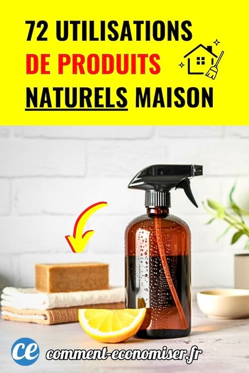 Un spray menager avec citron et savon presente des produits naturels utilises pour le nettoyage de la maison.