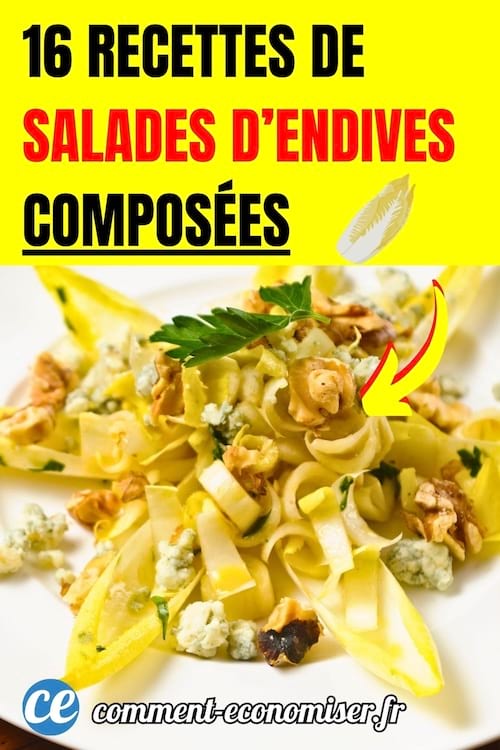 une assiette avec une salade d'endives compos&eacute;e