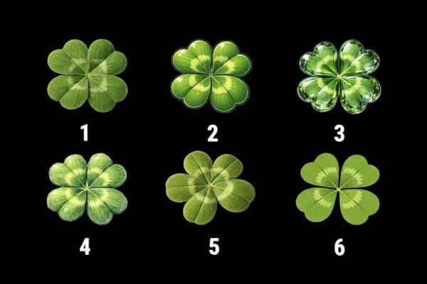 Six tr&egrave;fles &agrave; quatre feuilles num&eacute;rot&eacute;s de 1 &agrave; 6 sur fond noir, avec des styles visuels diff&eacute;rents.