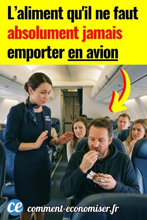 H&ocirc;tesse de l&rsquo;air servant un passager qui mange dans un avion, autres voyageurs assis autour.