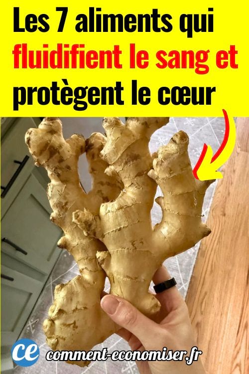 Main tenant un énorme morceau de gingembre frais dans une cuisine.