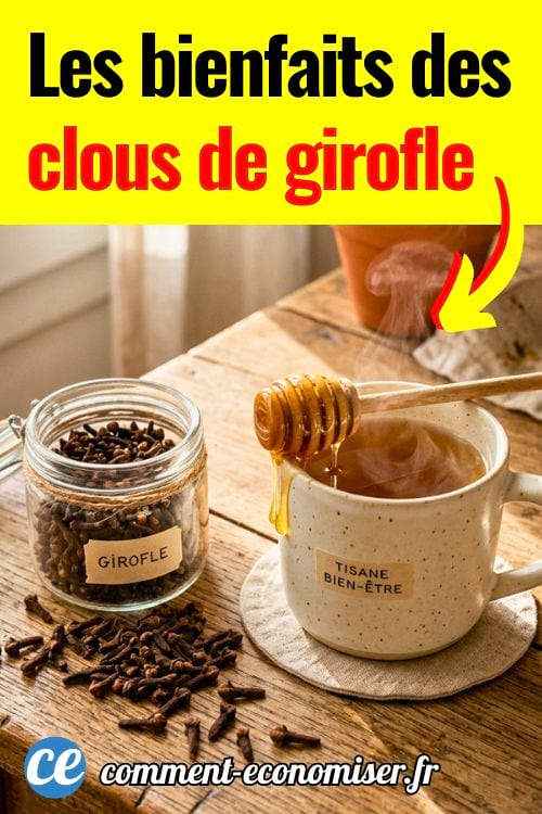 Tasse de tisane fumante au miel, pot de clous de girofle ouvert sur une table en bois pr&egrave;s d&rsquo;une fen&ecirc;tre lumineuse.