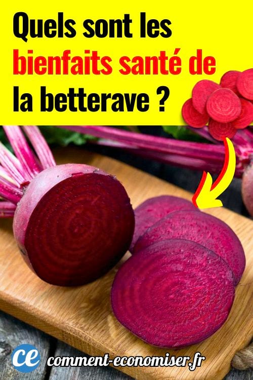 Betteraves fra&icirc;ches coup&eacute;es en rondelles sur planche en bois, avec racines enti&egrave;res en arri&egrave;re-plan