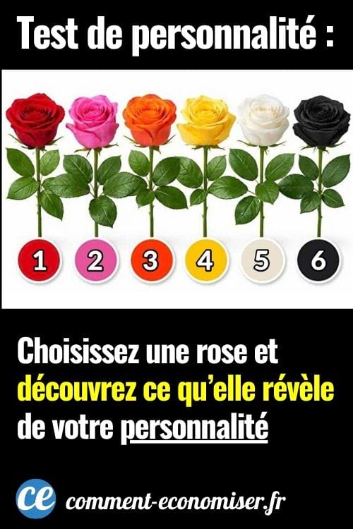 Six roses color&eacute;es align&eacute;es (rouge &agrave; noir) avec num&eacute;ros 1 &agrave; 6 pour test de personnalit&eacute;