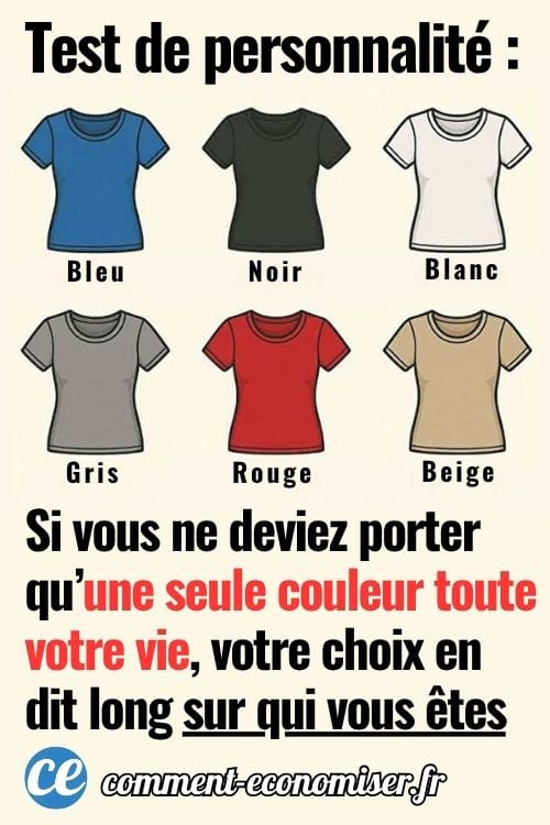 Illustration de six t-shirts de couleurs différentes : bleu, noir, blanc, gris, rouge et beige.