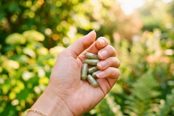 ne main f&eacute;minine tenant d&eacute;licatement quelques g&eacute;lules transparentes remplies de poudre v&eacute;g&eacute;tale