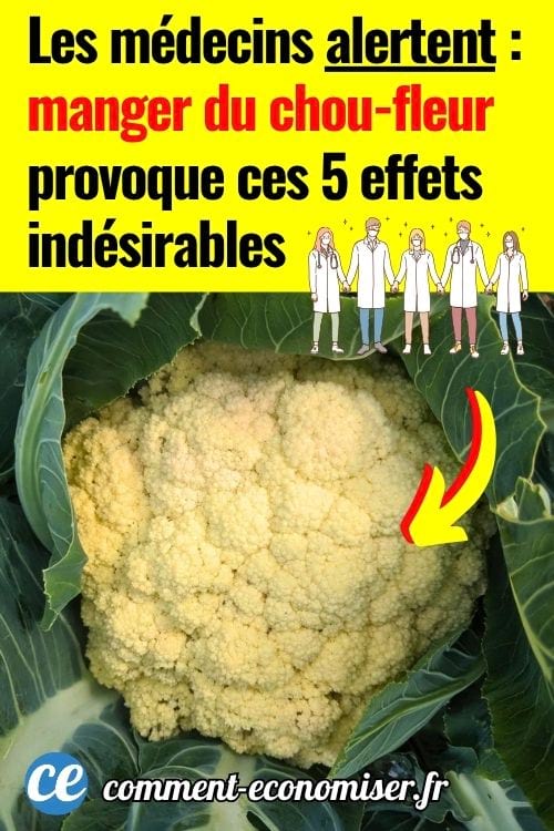 Chou-fleur blanc entour&eacute; de grandes feuilles vertes, encore en croissance dans le potager