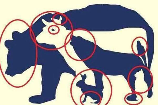 la solution au test de personnalité avec les animaux