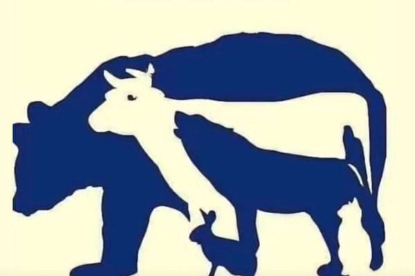 image bleu et blanc où des animaux sont imbriqués les uns dans les autres