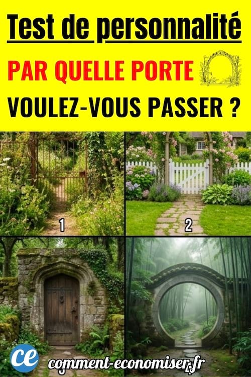4 portes différentes pour un test de personnalité