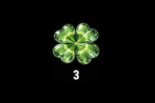 test personnalit&eacute; tr&egrave;fle n&deg;3