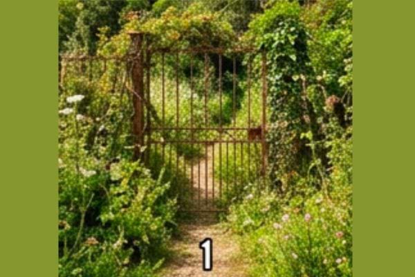 portail en fer avec arbustes défi personnalité